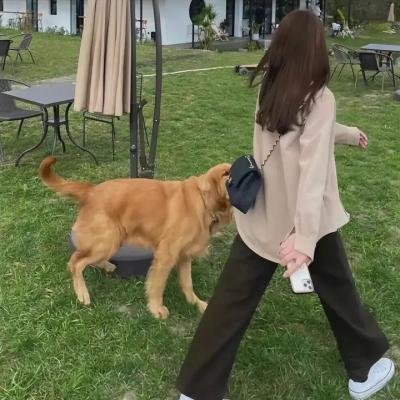 黄